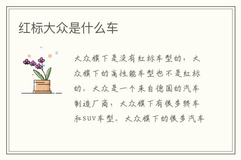 红标大众是什么车