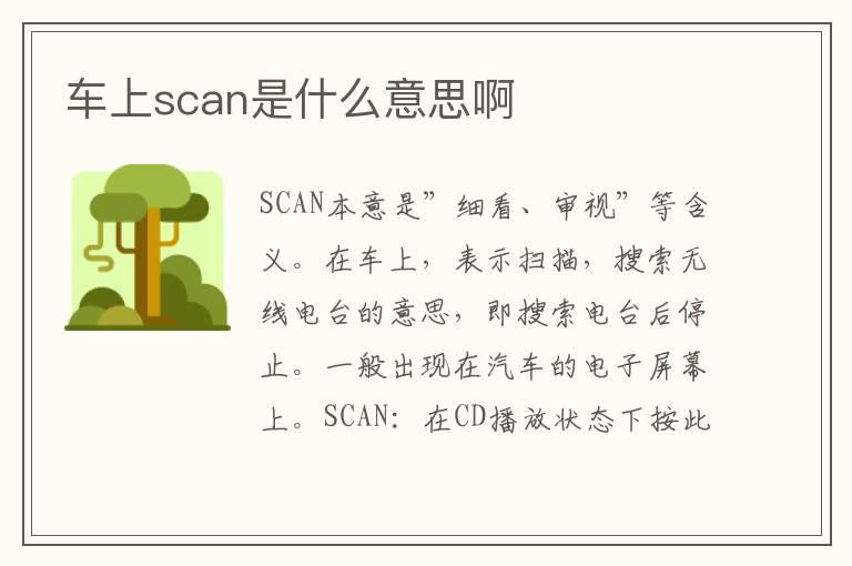 车上scan是什么意思啊
