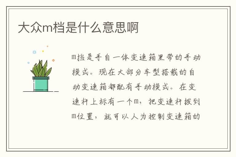 大众m档是什么意思啊