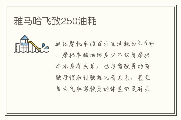 雅马哈飞致250油耗