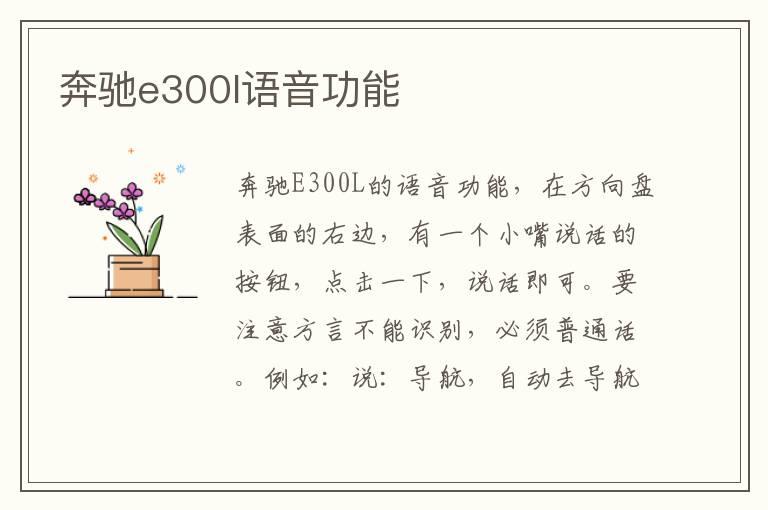 奔驰e300l语音功能