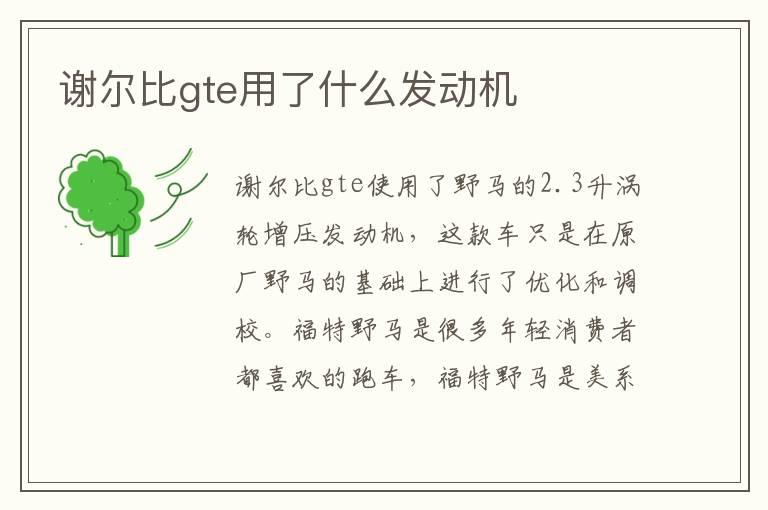 谢尔比gte用了什么发动机