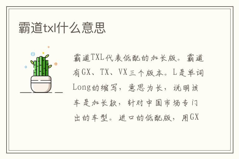 霸道txl什么意思