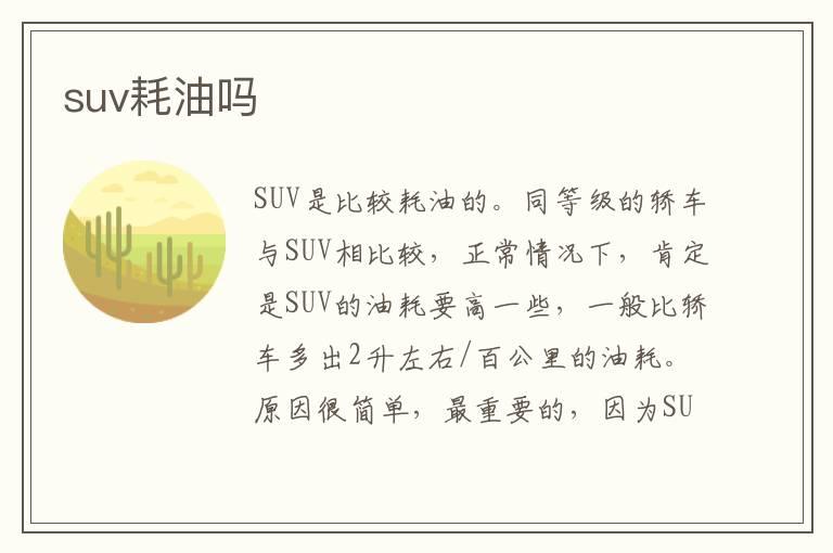 suv耗油吗