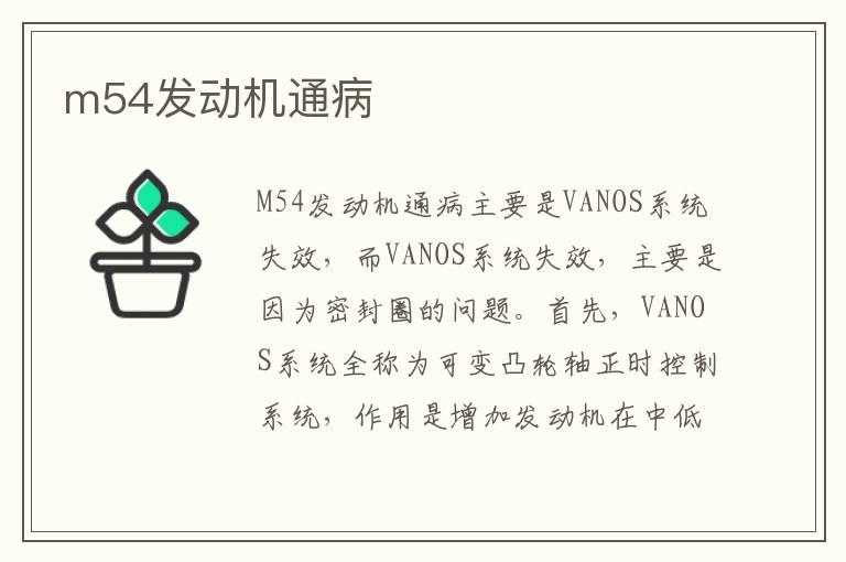 m54发动机通病