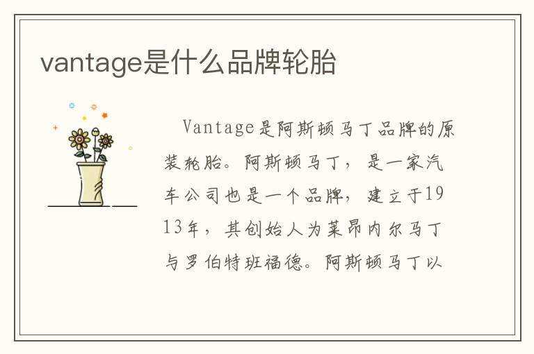 vantage是什么品牌轮胎
