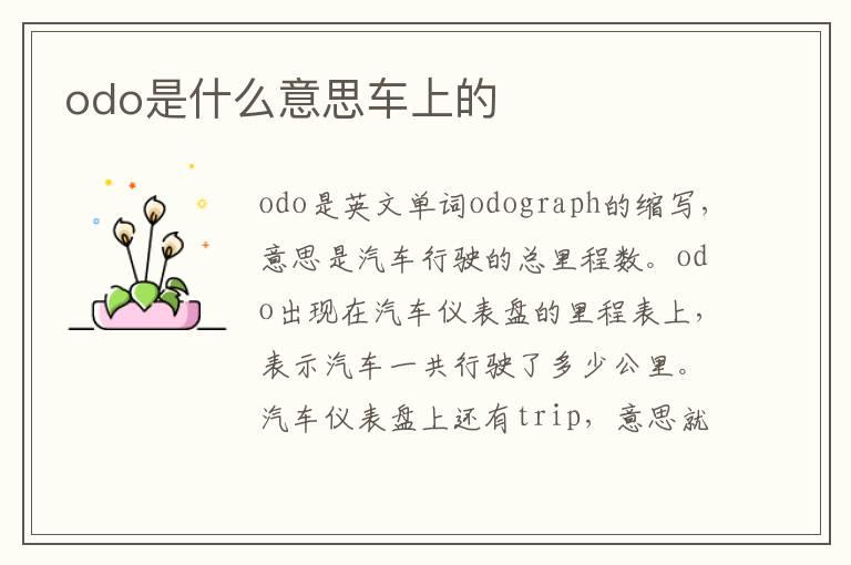 odo是什么意思车上的