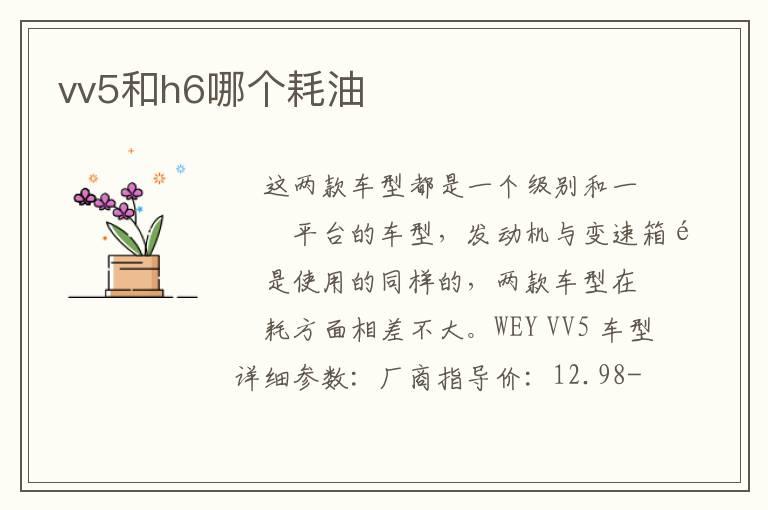 vv5和h6哪个耗油