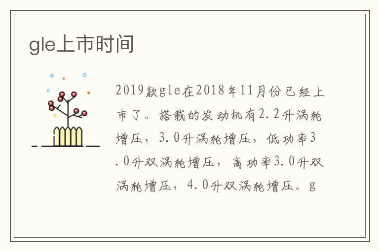 gle上市时间