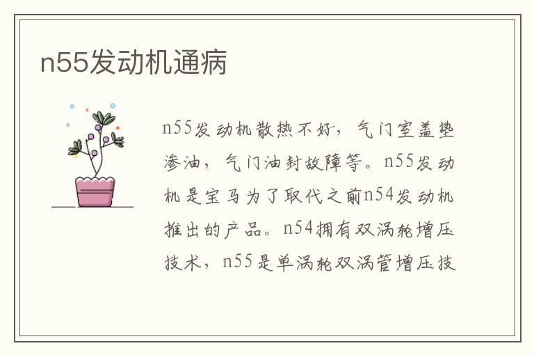 n55发动机通病