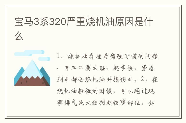 宝马3系320严重烧机油原因是什么
