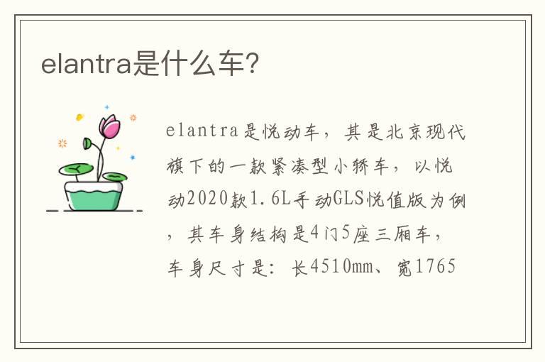 elantra是什么车？
