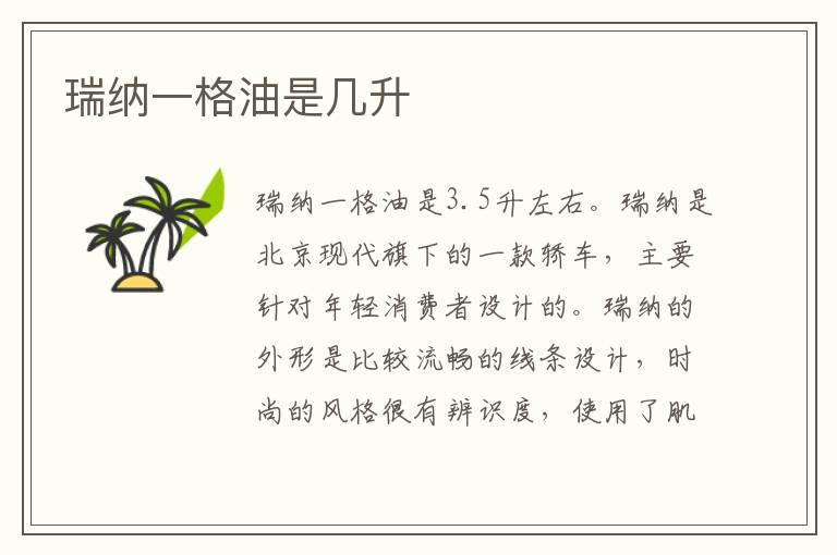 瑞纳一格油是几升