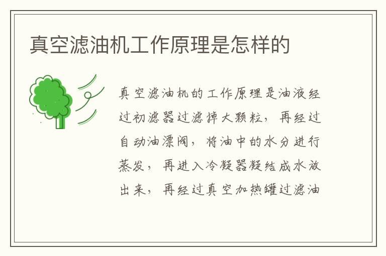 真空滤油机工作原理是怎样的
