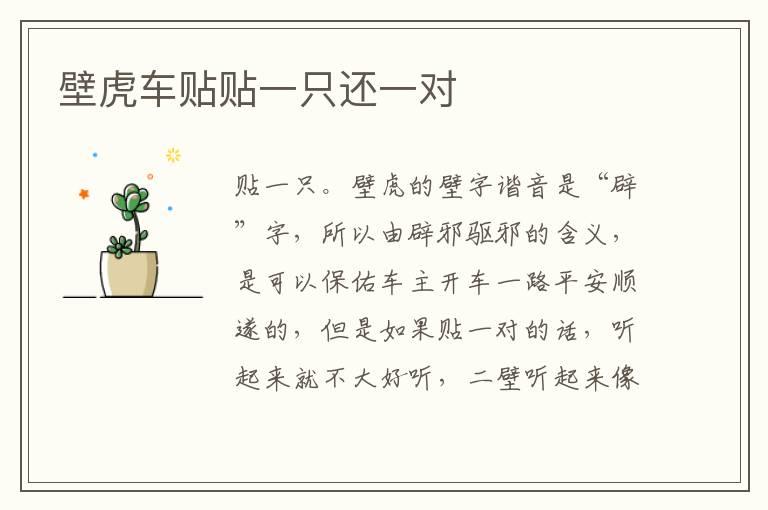 壁虎车贴贴一只还一对